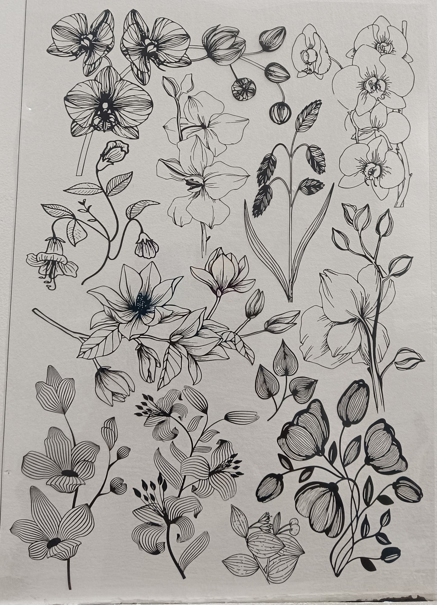 Florals insert sheet 1