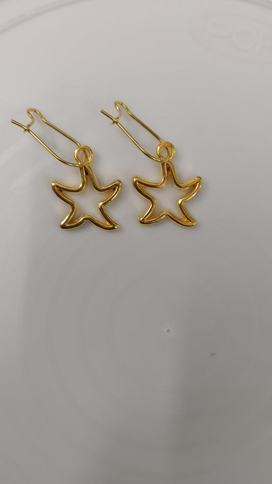 Dainty star danglers