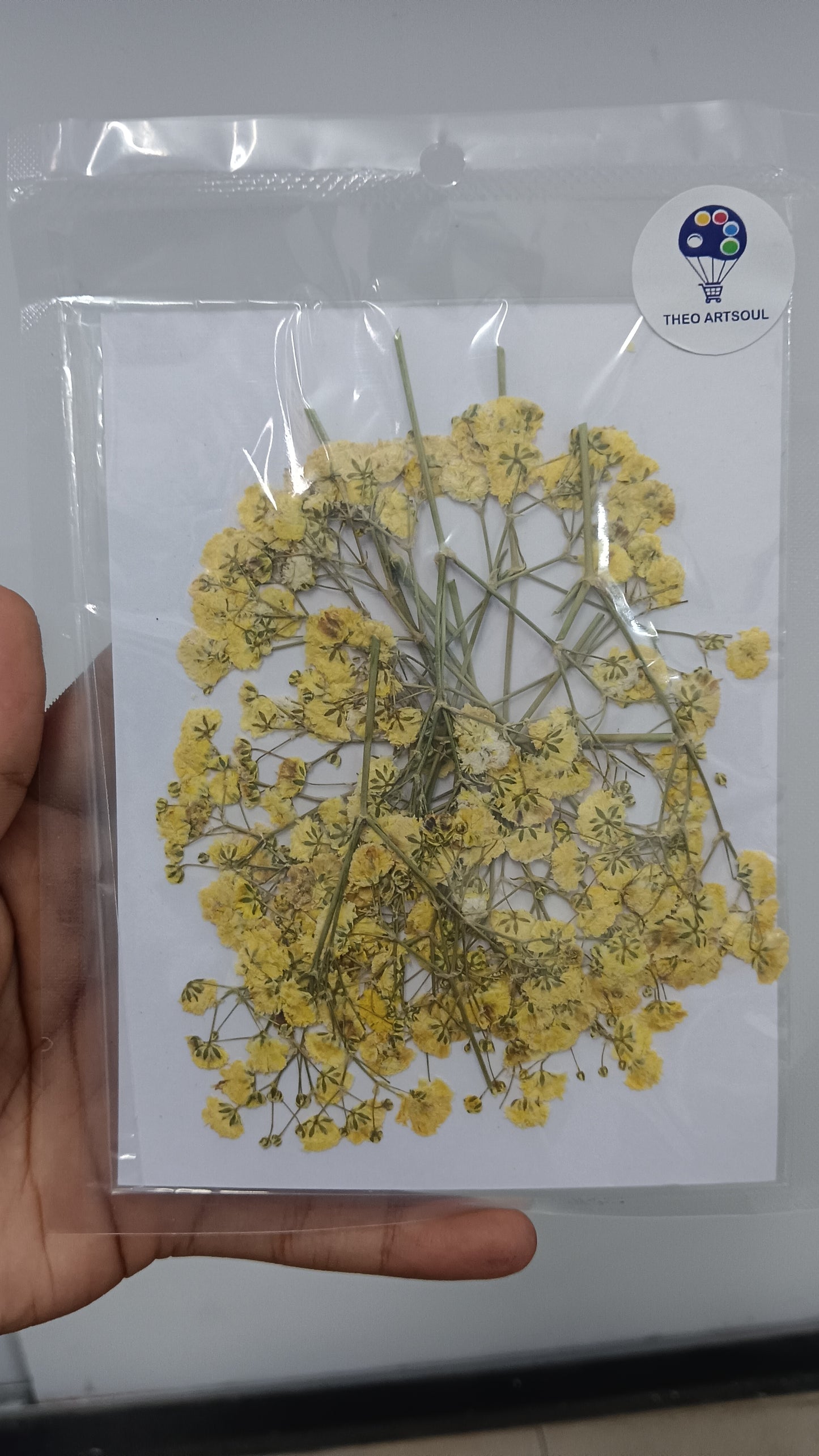 Yellow baby breath