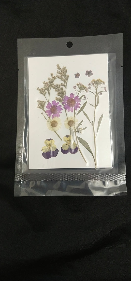 Purple flower pack