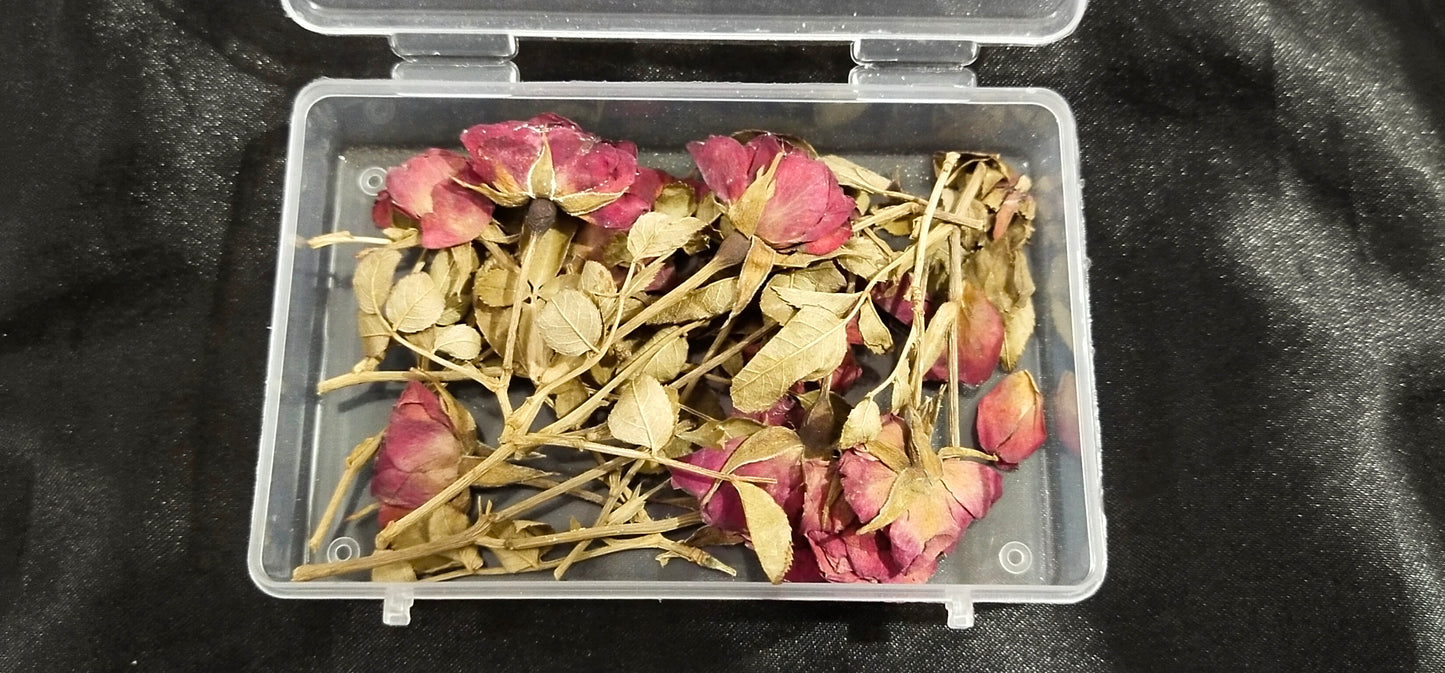 Dried Rose box