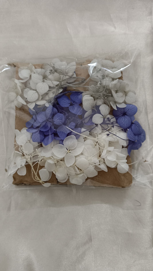 Hydrangea combo 3