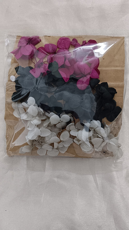 Hydrangea combo 13