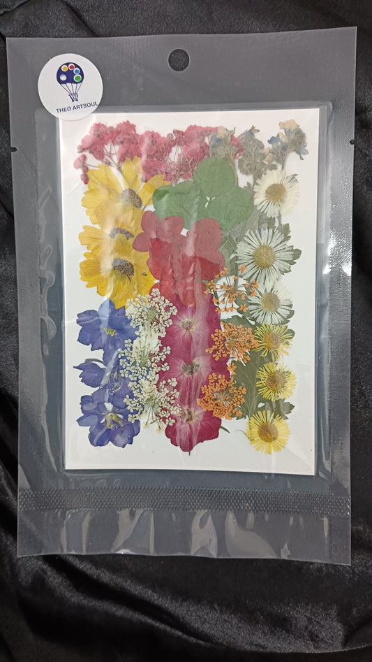 Mixed Dasiy flower pack 3