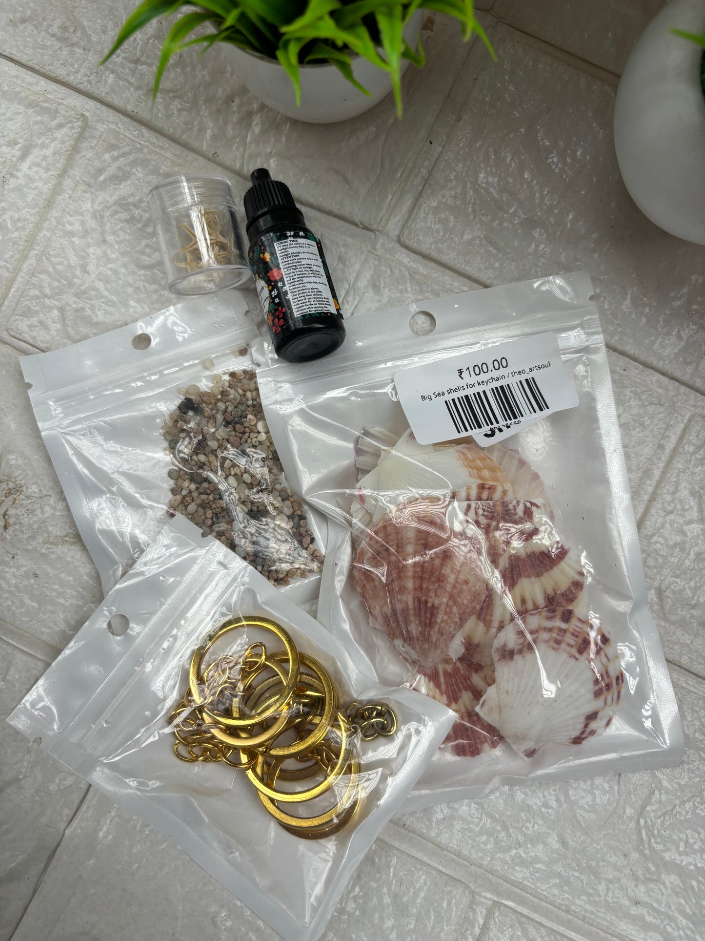Seashell keychain kit