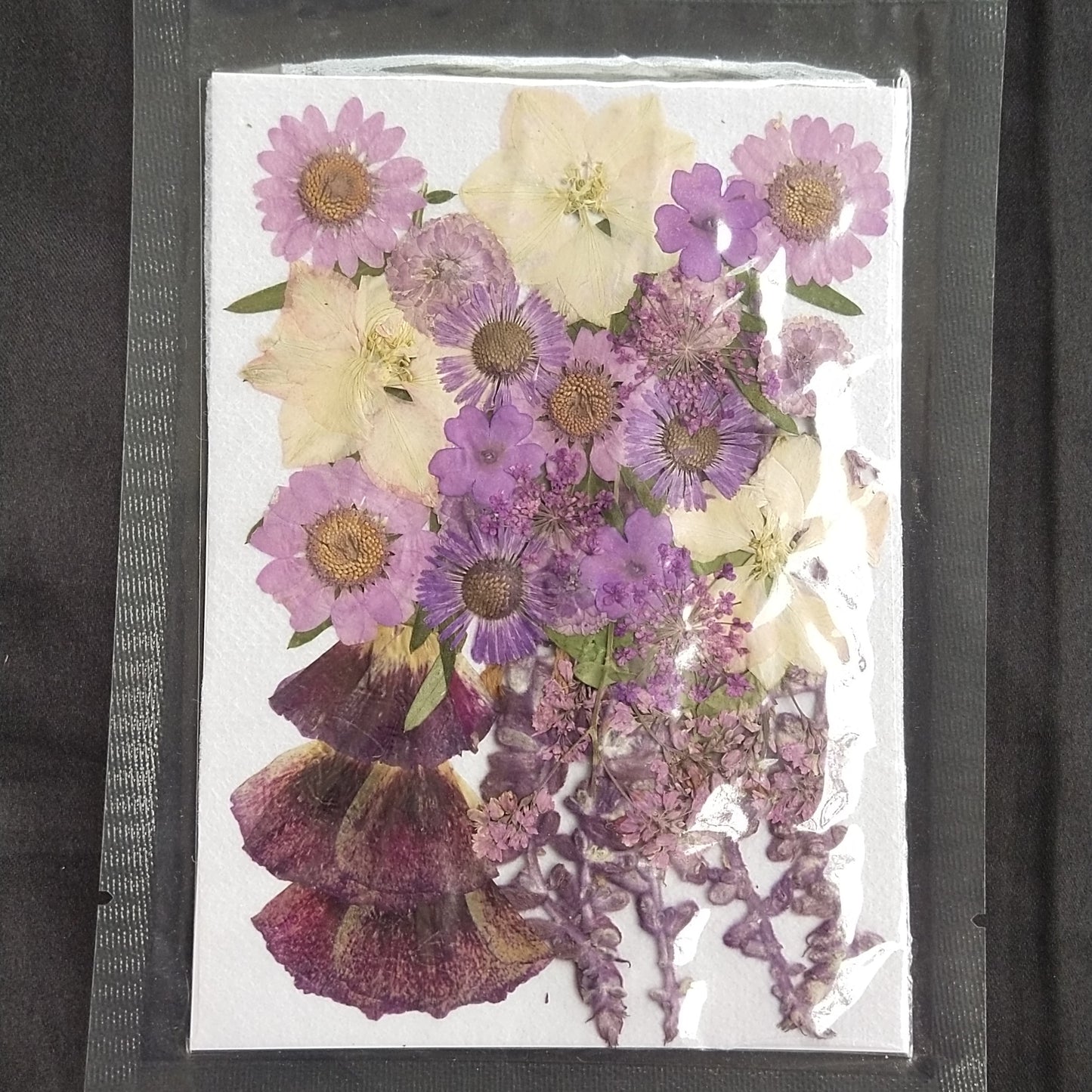 Purple dried & pressed flower pack