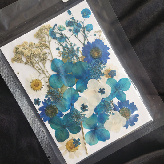 Blue dried & pressed flower pack