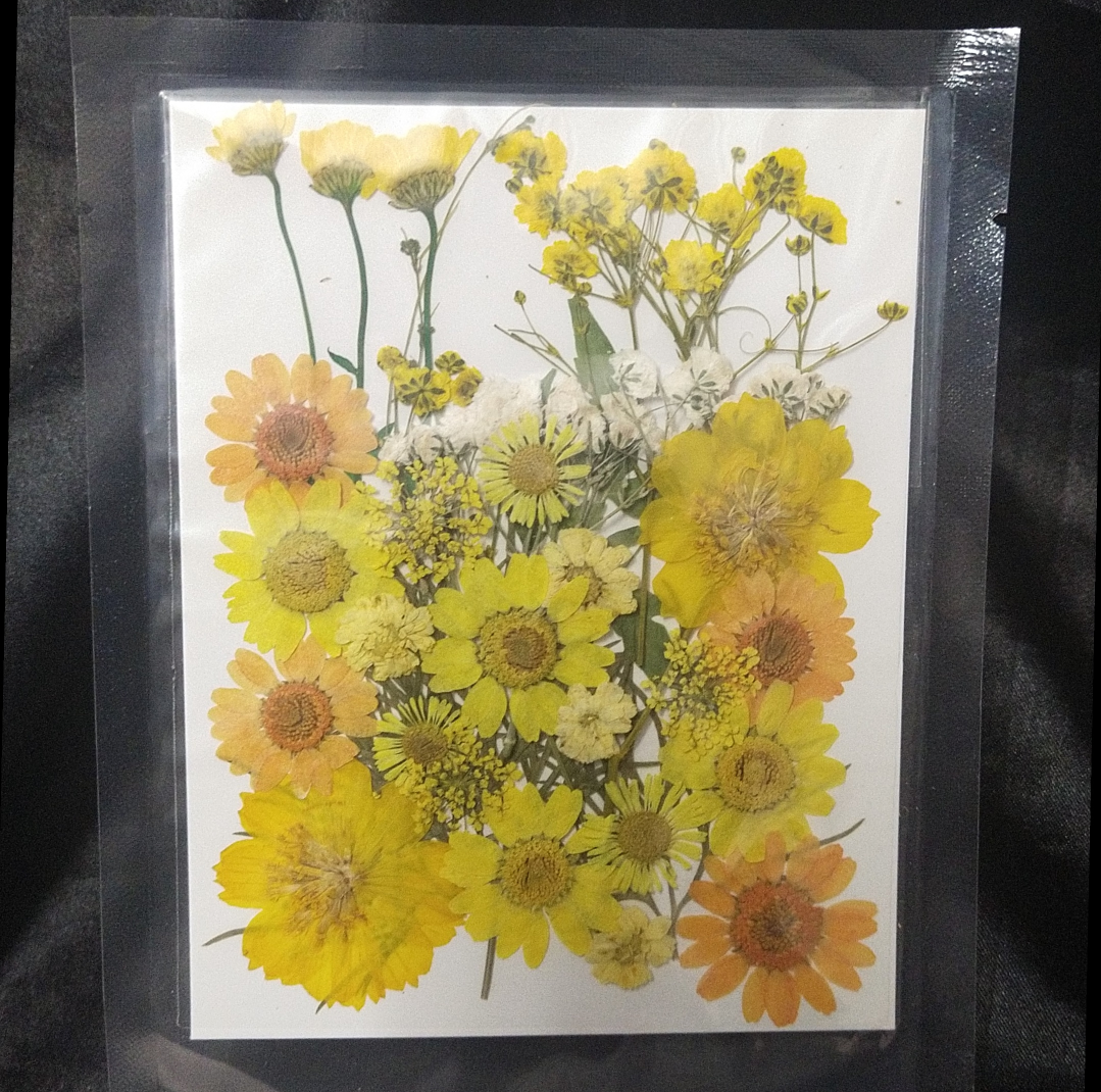 Yellow dried & pressed flower pack