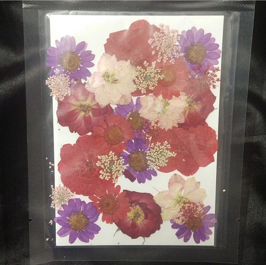 Red & Purple dried & pressed flower pack