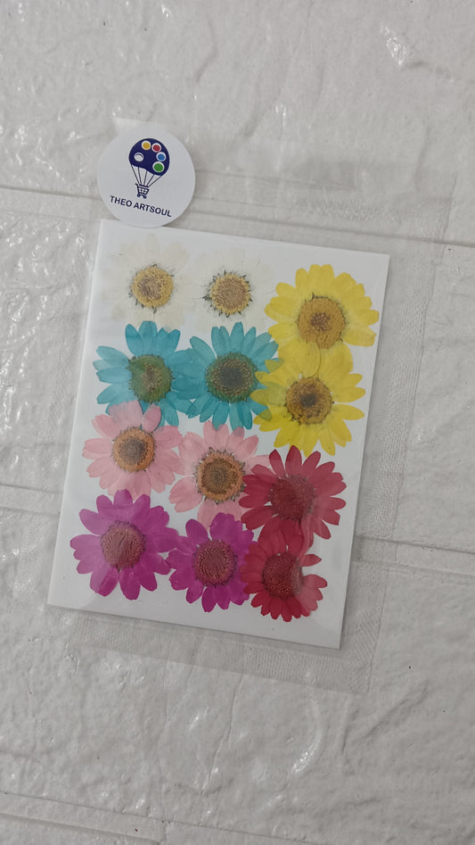 New Mixed Dasiy Dried flower