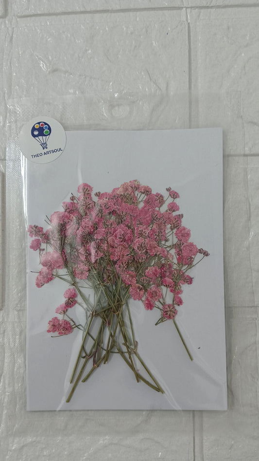 Pink baby breath