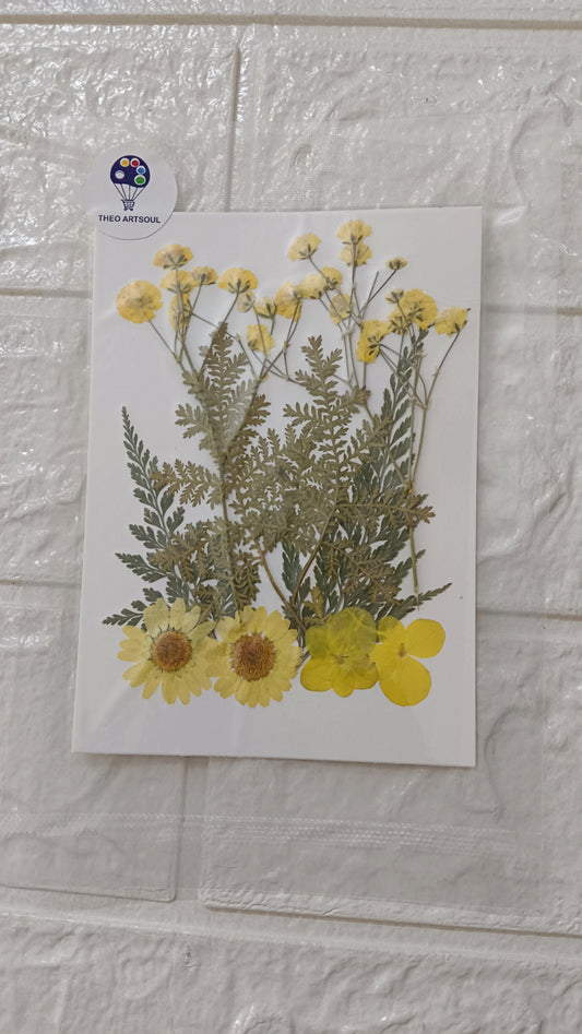 Yellow flower pack