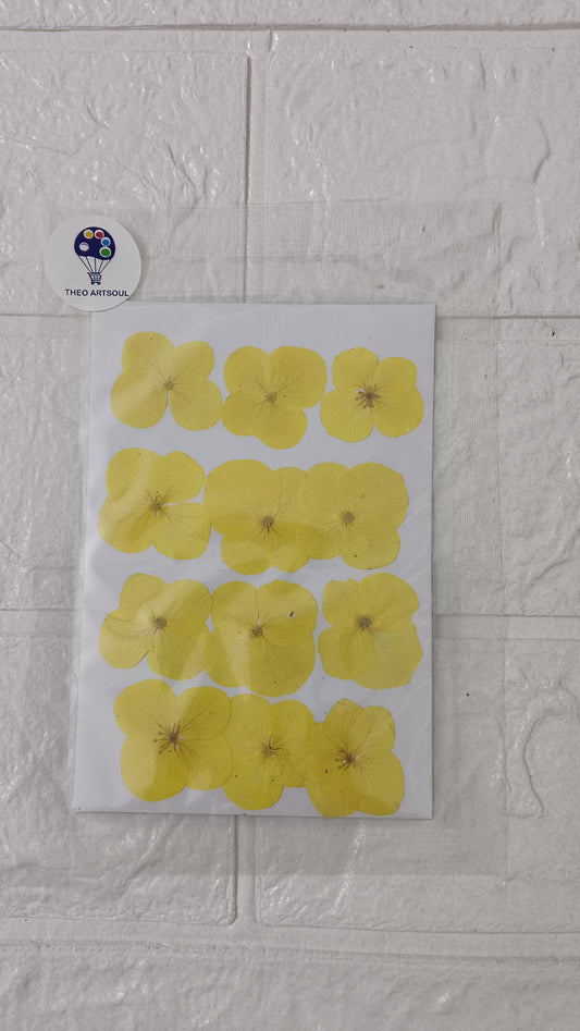 Yellow hydrangeas