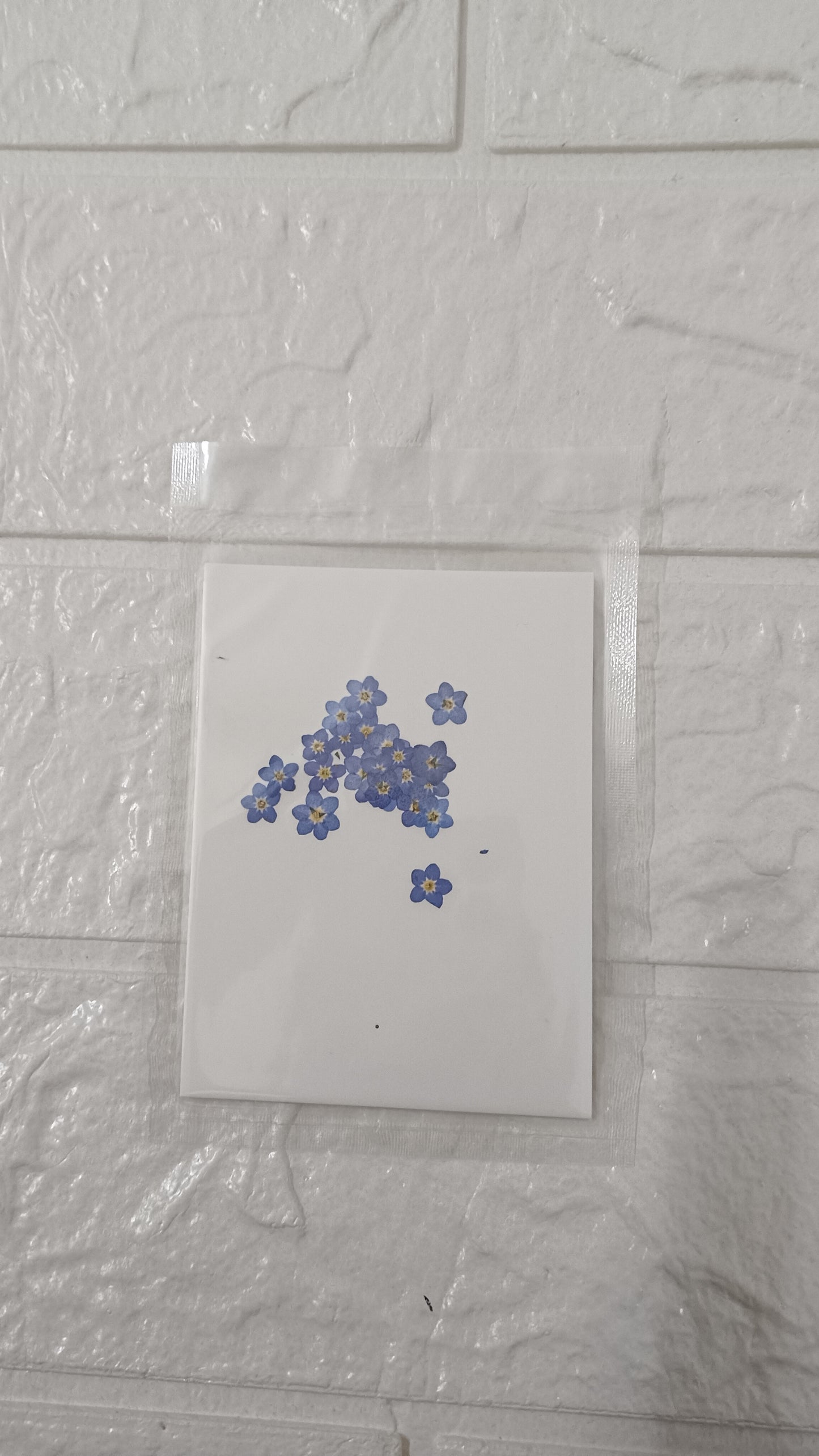 Forget me not