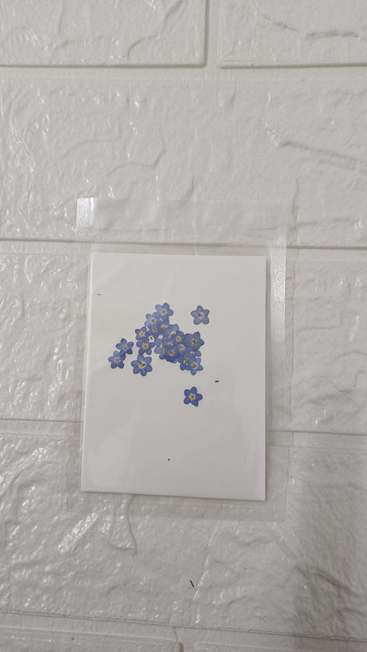 Forget me not