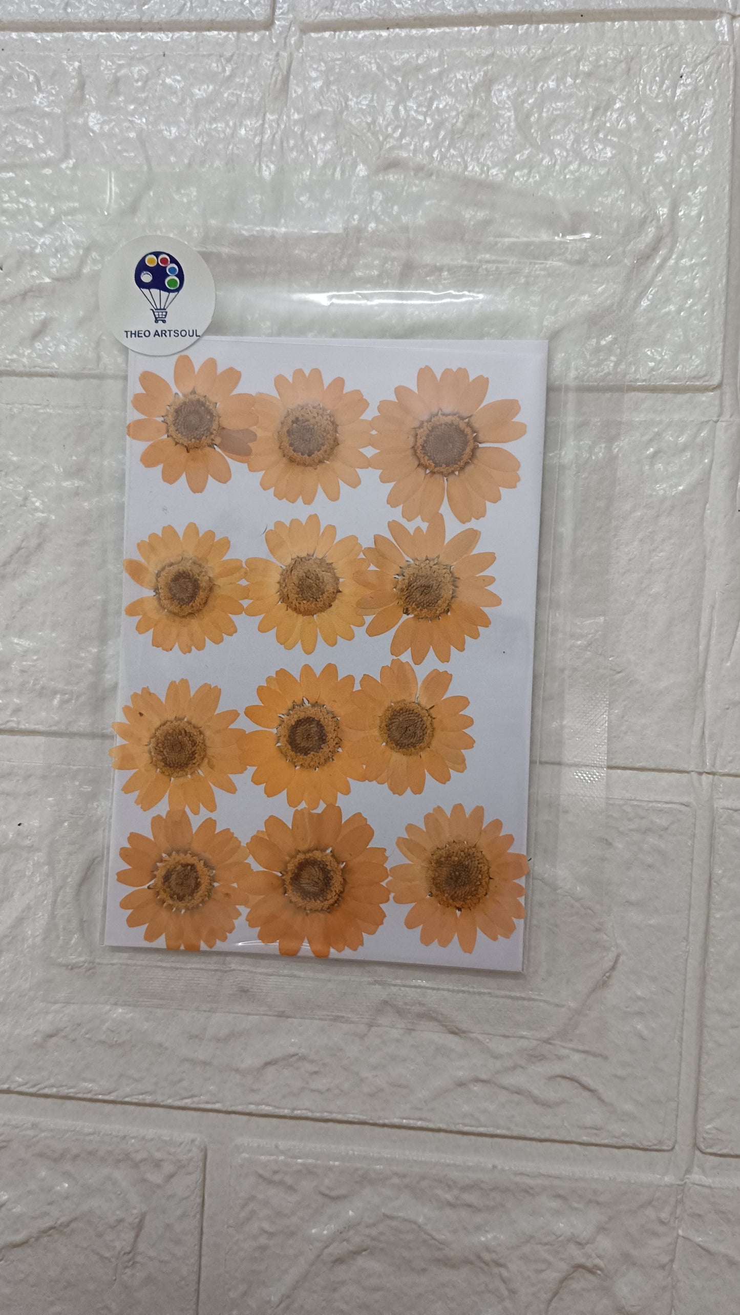 Orange Dasiy Dried flower