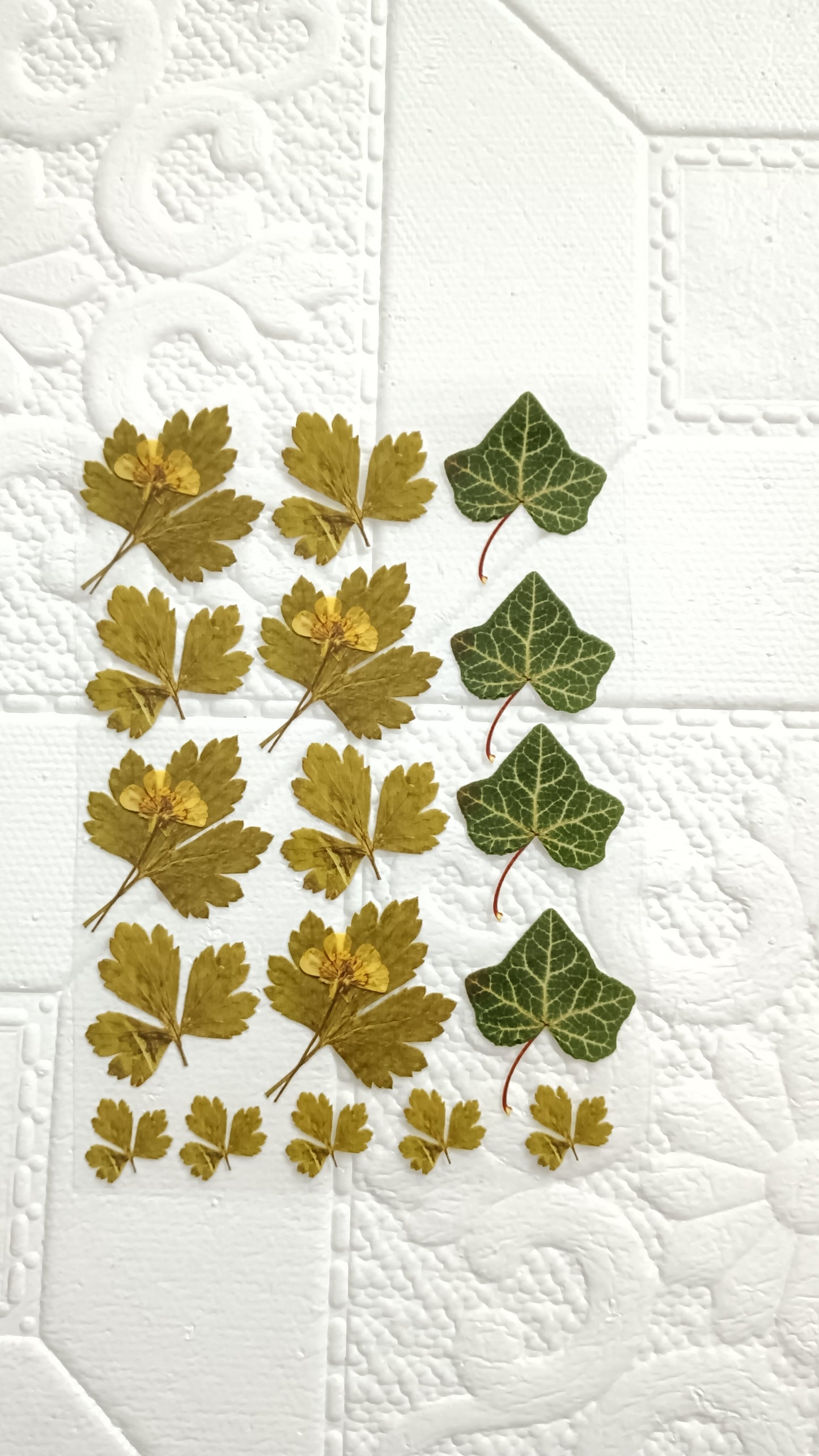 Leaf sheet