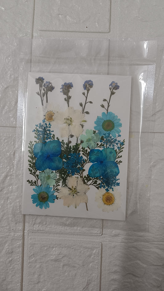 Blue mixed flower pack