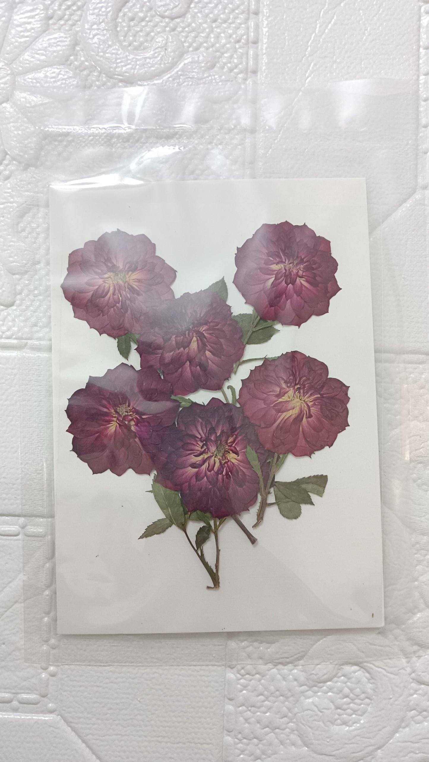 Pressed rose