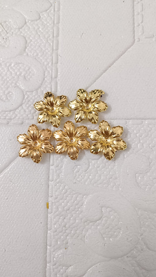 Thali decoration pack of 10