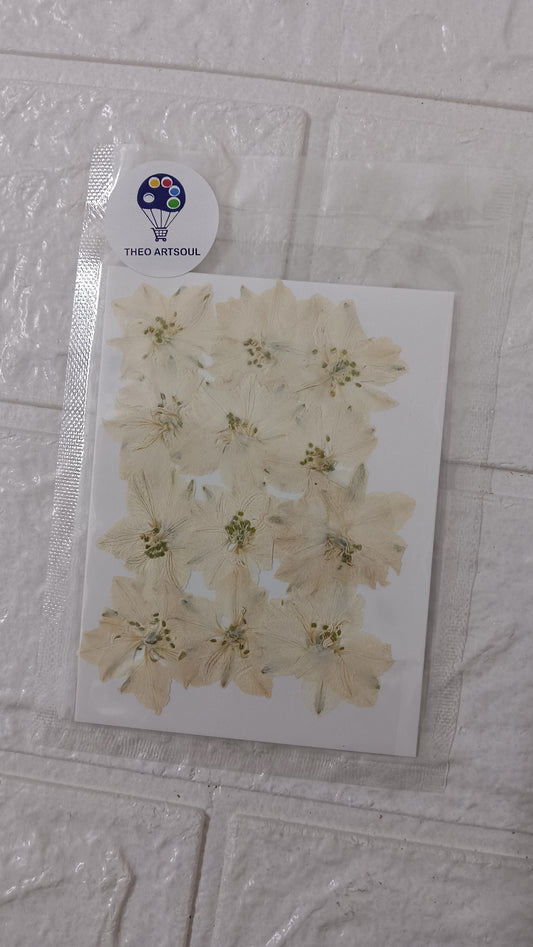 White Larkspurflower