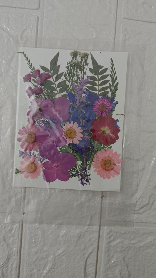 Mixed Dasiy flower pack 4