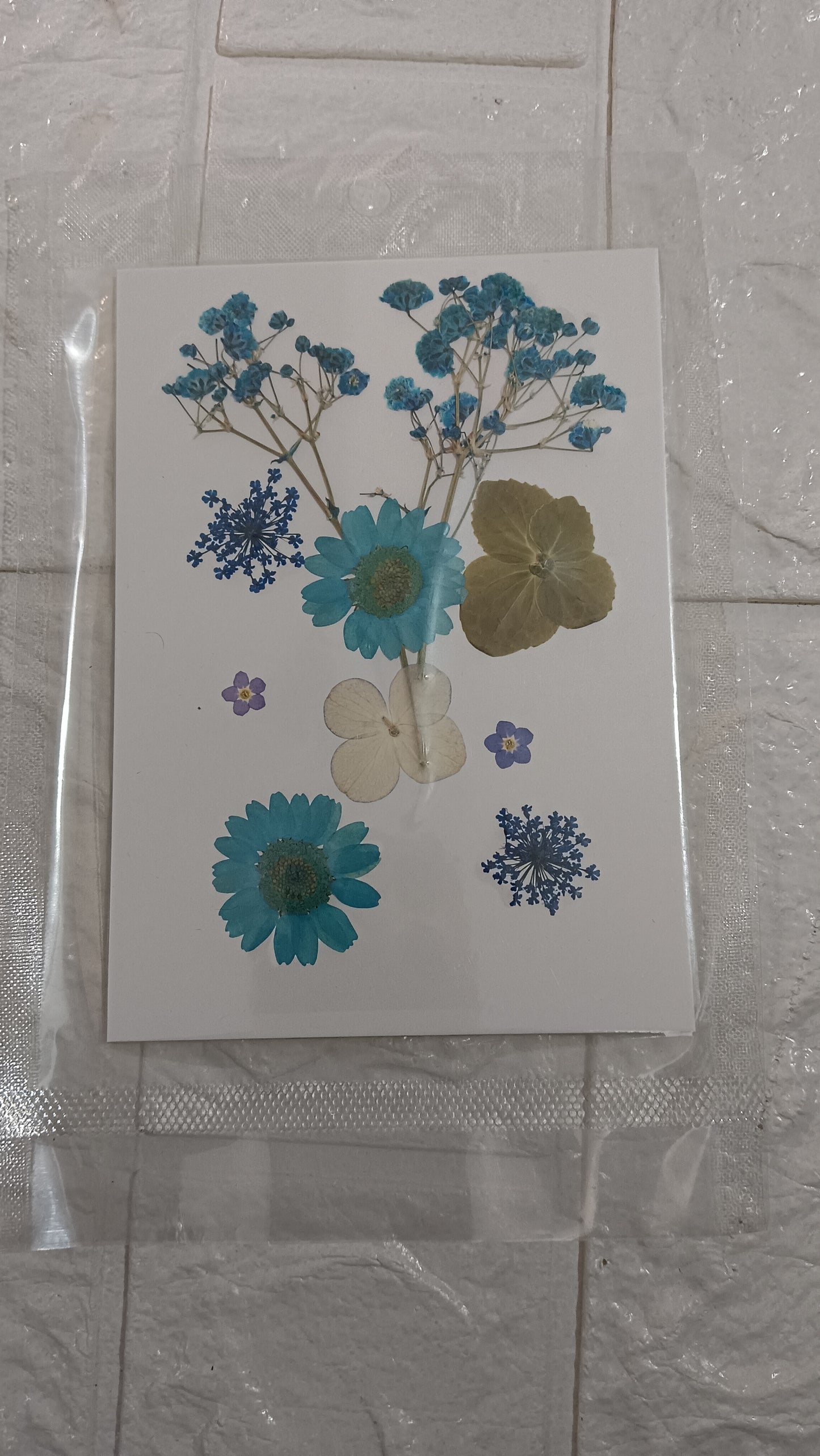 Blue flower pack