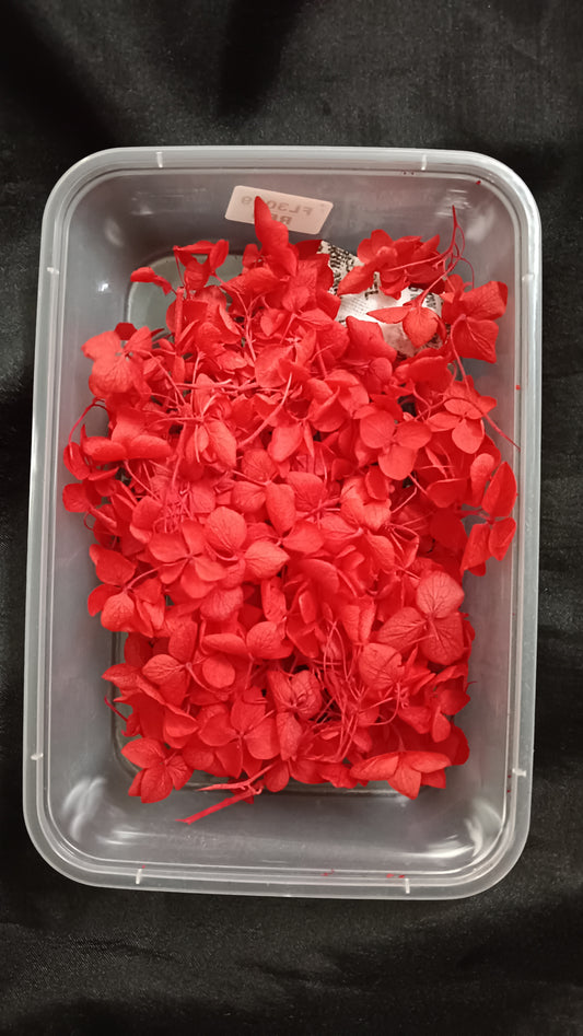 Red Hydrangeas box