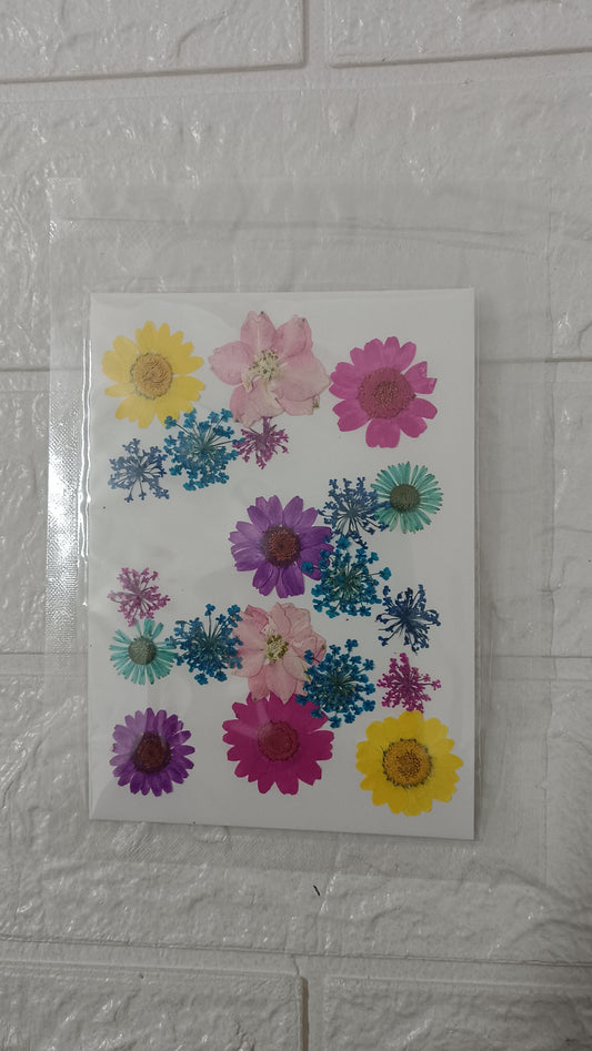 New Mixed dried & pressed flower pack