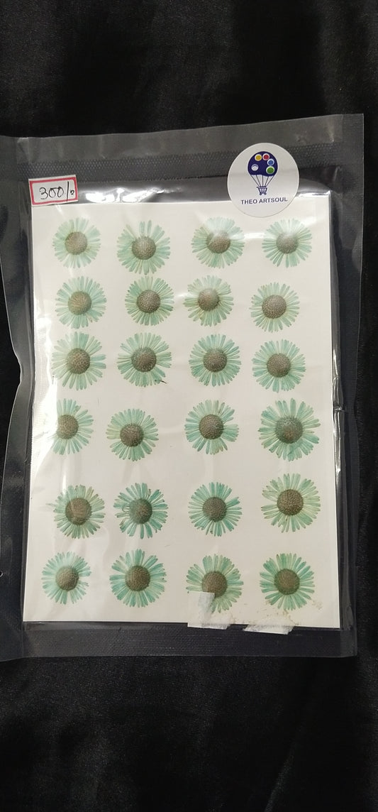 Sea green Aster