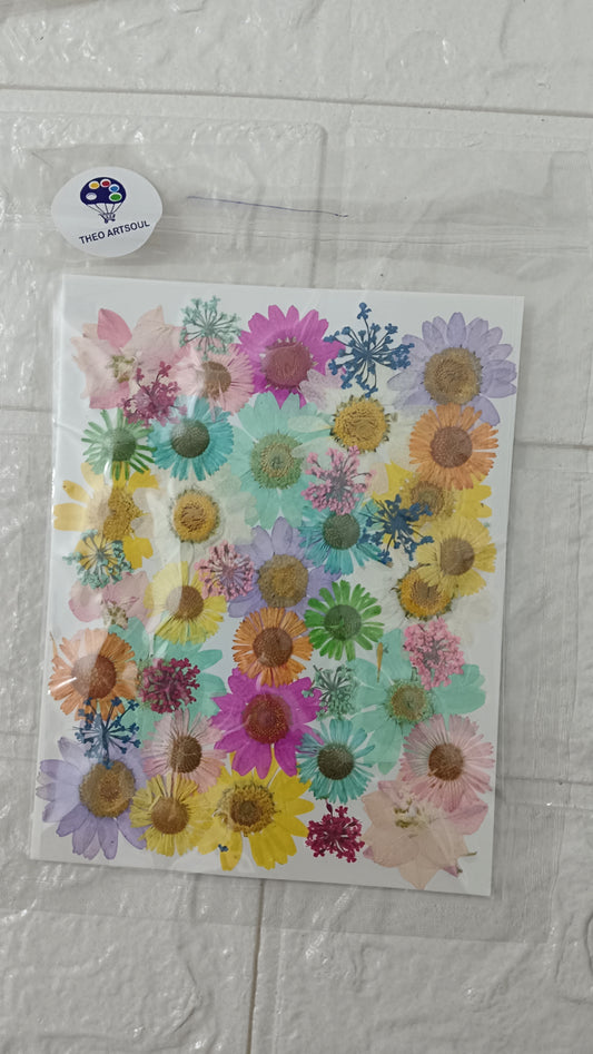 New Mixed dried & pressed flower pack