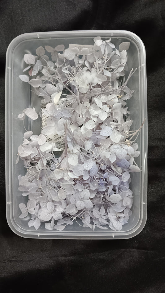 Light blue Hydrangeas box