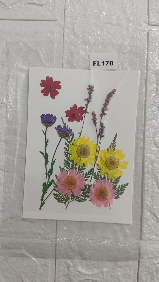 Mixed Flower pack