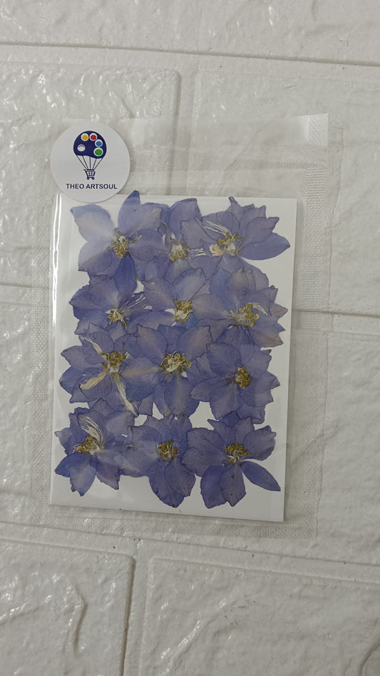 Blue Larkspur flower